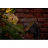Techmar Garden Lighting UK Outdoor Lights Low Voltage Raf 12V 1.8W LED Outdoor Spotlight. 4
