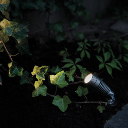 Techmar Garden Lighting UK Outdoor Lights Low Voltage Minus Plug & Play LED Garden Spotlight Bundle - 8 Light Kit. 3