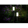 Techmar Garden Lighting UK Outdoor Lights Low Voltage Lunia 12V 1W LED Outdoor Post Light. 5