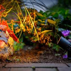 Techmar Garden Lighting UK Outdoor Lights Low Voltage Neso 12V Plug & Play Garden Spotlight Bundle - 4 Light Kit. 3