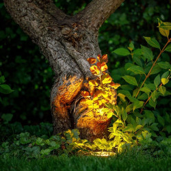 Techmar Garden Lighting UK Outdoor Lights Rubum 12V 5W LED Outdoor Uplight 3