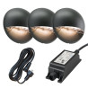 Low voltage garden lighting Ludeco Vidar 3 light bundle. (1)