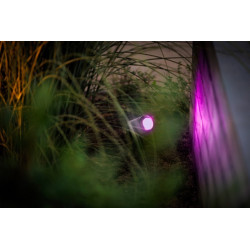 UK Outdoor Low Voltage Garden Lighting Lightpro 12V Low Voltage Castor Smart 5W IP44 Spotlight PINK