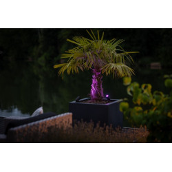 UK Outdoor Low Voltage Garden Lighting Lightpro 12V Low Voltage Castor Smart 5W IP44 Spotlight PINK 3