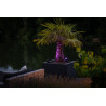 UK Outdoor Low Voltage Garden Lighting Lightpro 12V Low Voltage Castor Smart 5W IP44 Spotlight PINK 3