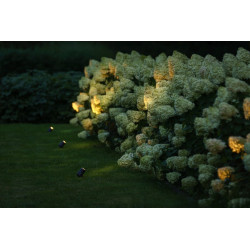 Lightpro Outdoor Garden Lighting Professional DIY  Castor 8 12v IP44 Spotlight 7