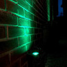 Techmar low voltage 16 Colour MR16 RGB LED + Remote green