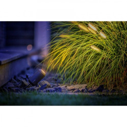 Lightpro Outdoor Garden Lighting Professional DIY  Castor 8 12v IP44 Spotlight 1